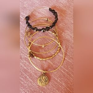Alex and Ani Path of Life Set